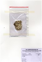 藏品(絲擬藻)的圖片